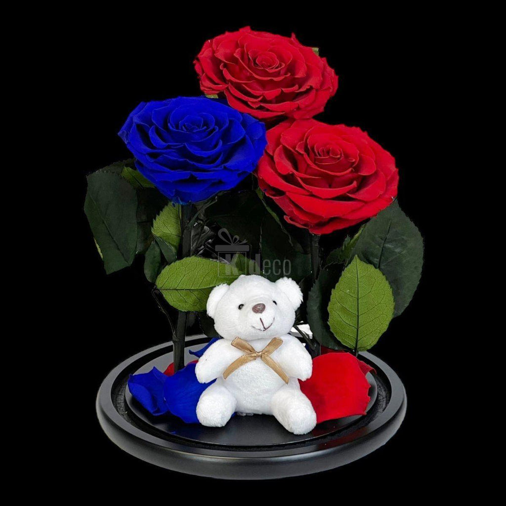 3 Trandafiri Criogenati mari (2 rosii si 1 albastru) in cupola sticla-Kdeco.ro