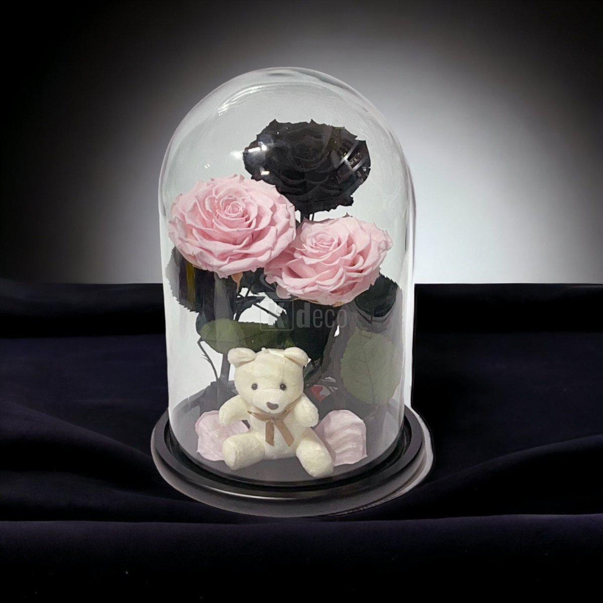 3 Trandafiri Criogenati mari (2 roz pal si 1 negru) in cupola sticla-Kdeco.ro