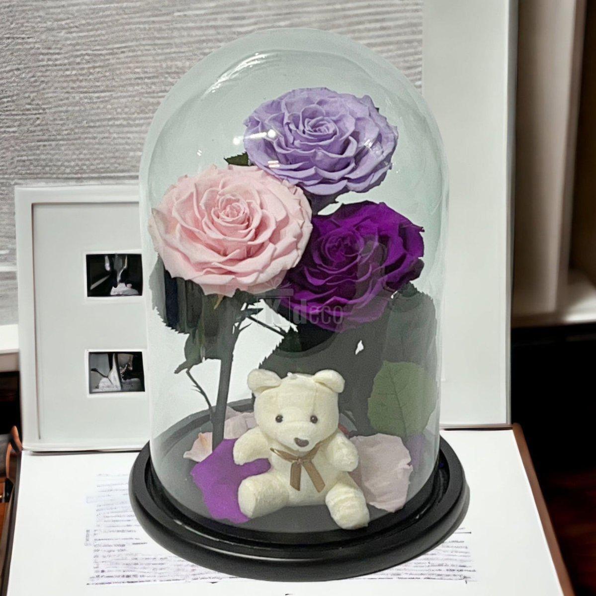 3 Trandafiri Criogenati mari (lila, roz, purpuriu) in cupola de sticla-Kdeco.ro