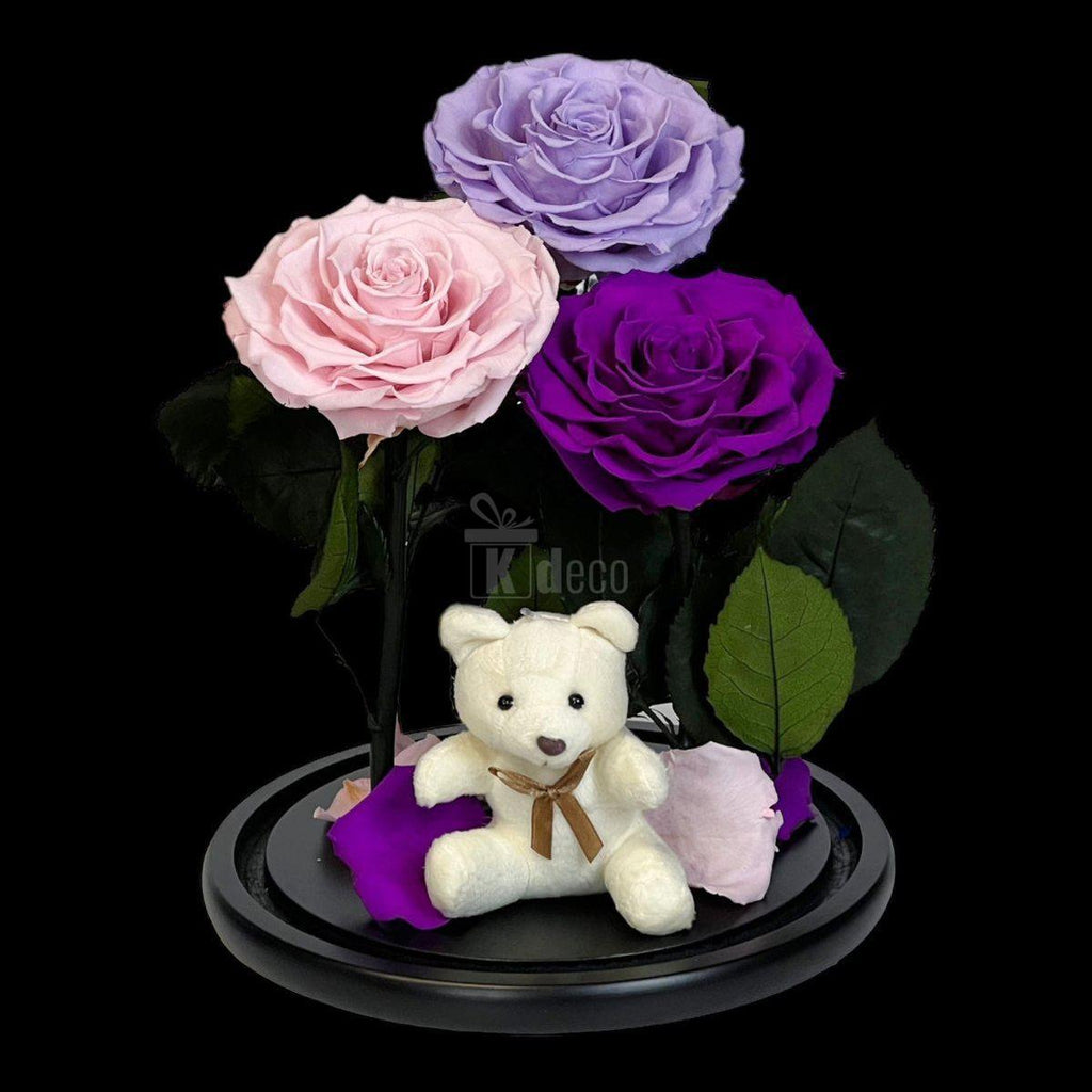 3 Trandafiri Criogenati mari (lila, roz, purpuriu) in cupola de sticla-Kdeco.ro