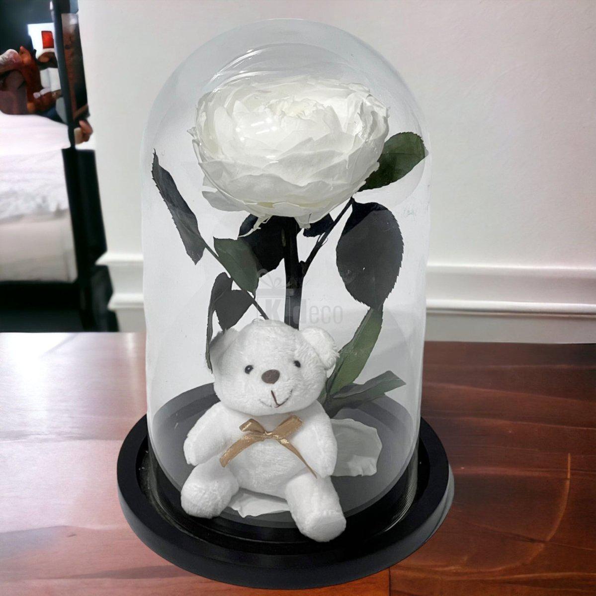 Bujor Criogenat alb Ø10cm in cupola de sticla 15x25cm-Kdeco.ro