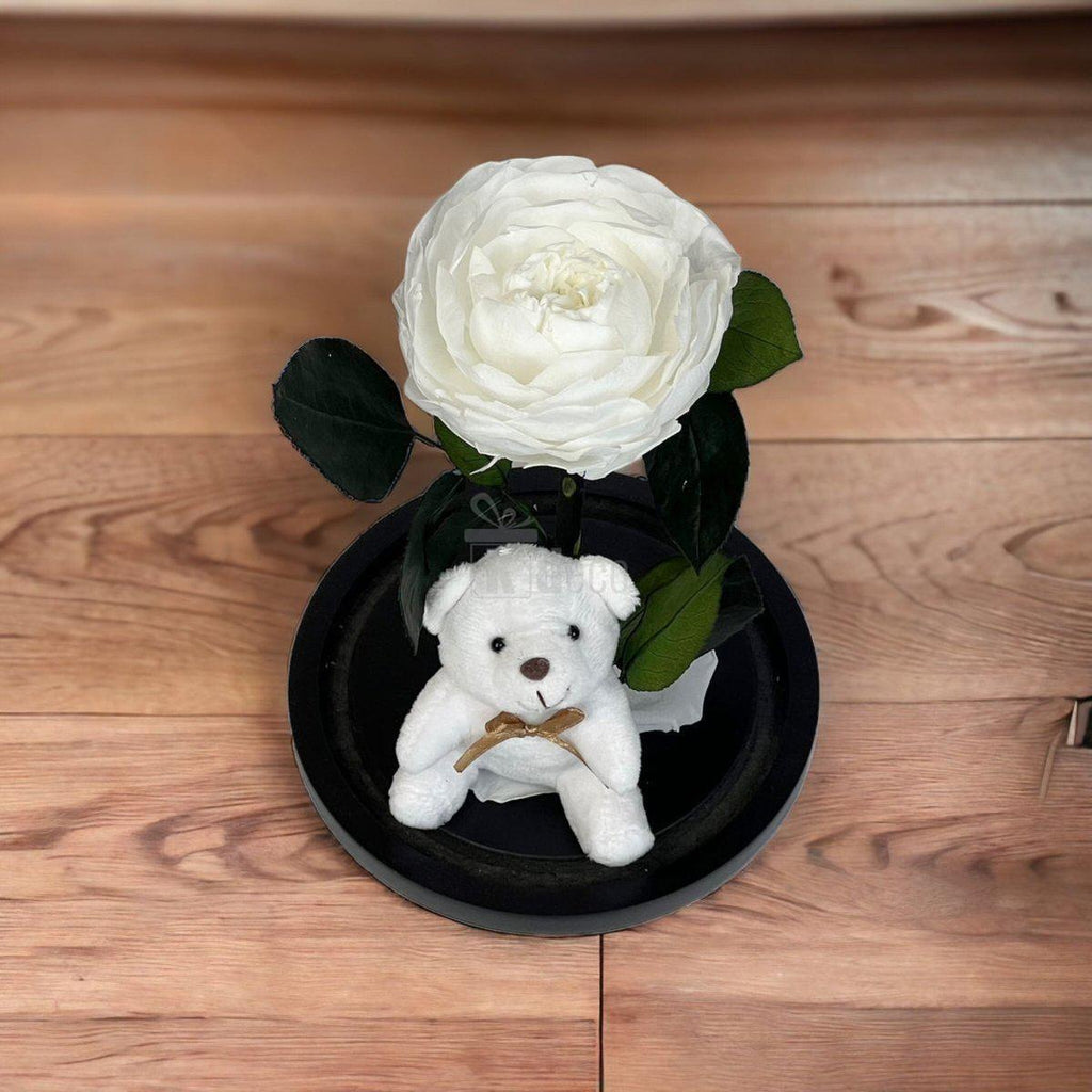 Bujor Criogenat alb Ø10cm in cupola de sticla 15x25cm-Kdeco.ro