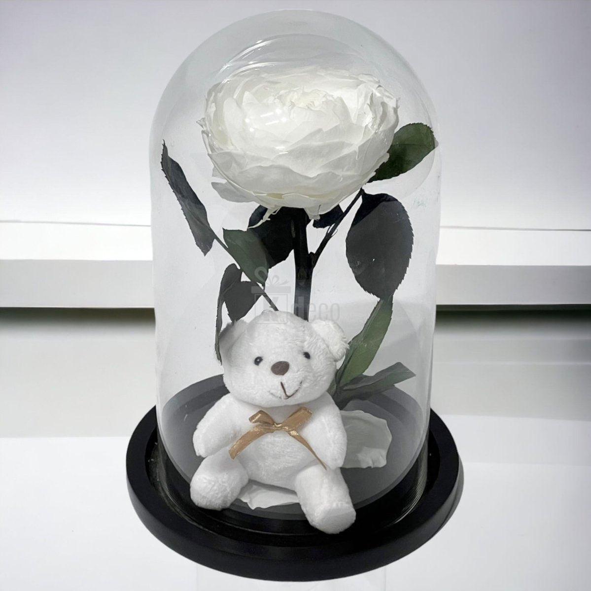 Bujor Criogenat alb Ø10cm in cupola de sticla 15x25cm-Kdeco.ro