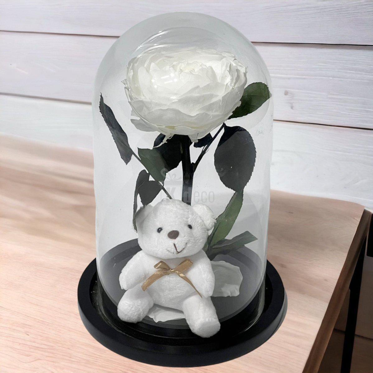 Bujor Criogenat alb Ø10cm in cupola de sticla 15x25cm-Kdeco.ro