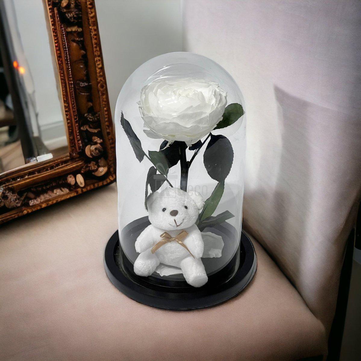 Bujor Criogenat alb Ø10cm in cupola de sticla 15x25cm-Kdeco.ro