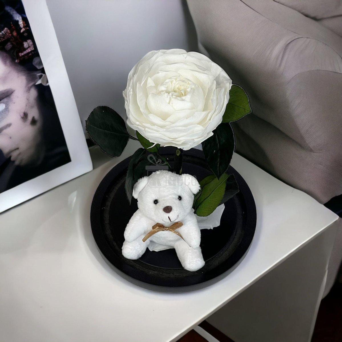 Bujor Criogenat alb Ø10cm in cupola de sticla 15x25cm-Kdeco.ro