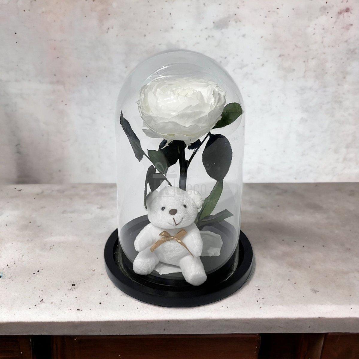 Bujor Criogenat alb Ø10cm in cupola de sticla 15x25cm-Kdeco.ro