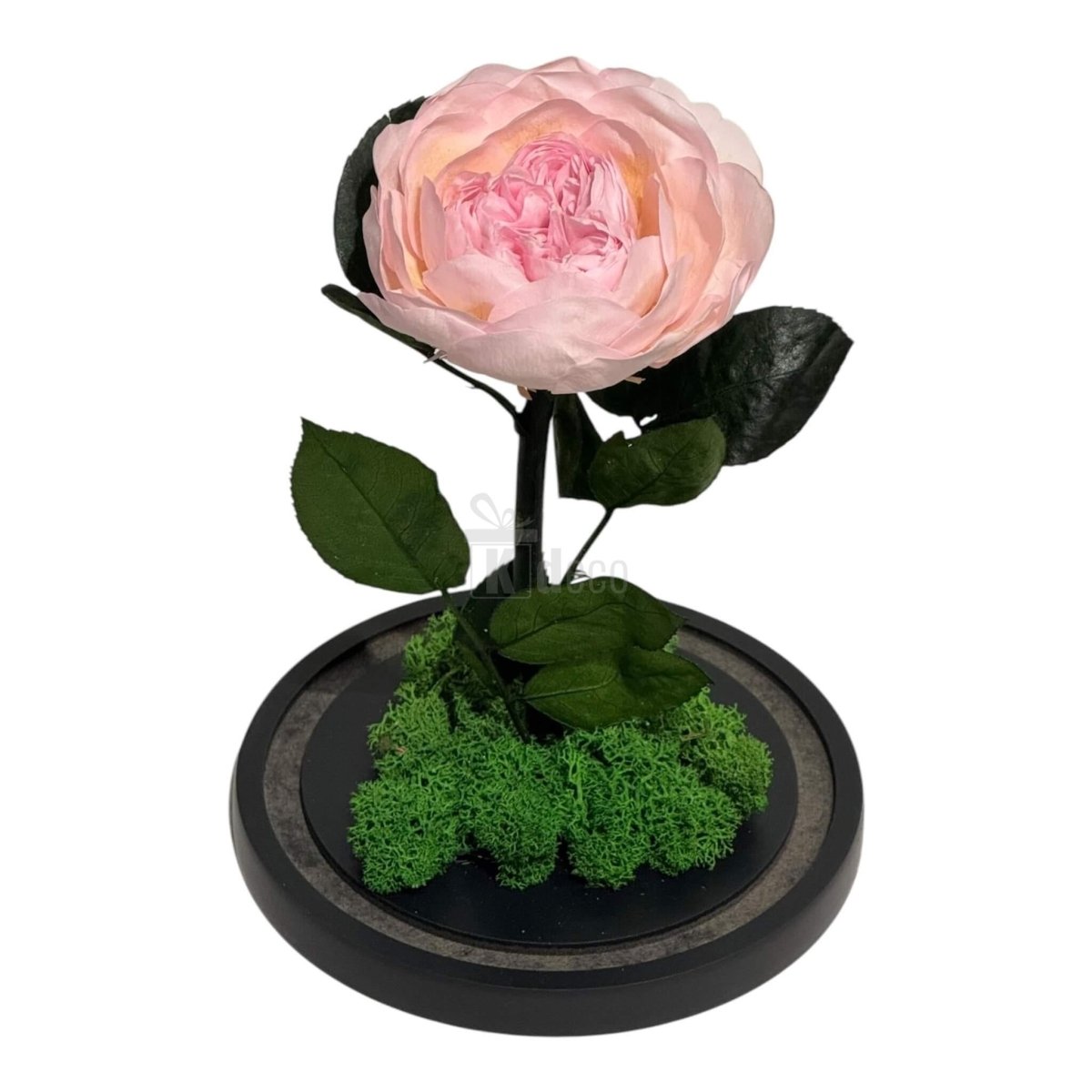 Bujor Criogenat Roz cu Cupolă din Sticlă Ø10cm - Cadoul Perfect în Cupola 15x25cm - Kdeco.ro