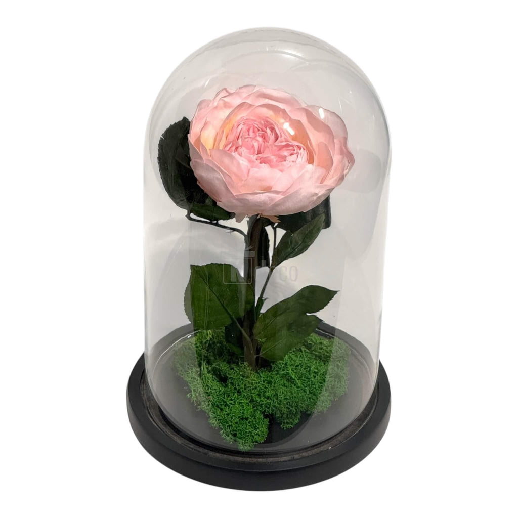 Bujor Criogenat Roz cu Cupolă din Sticlă Ø10cm - Cadoul Perfect în Cupola 15x25cm - Kdeco.ro