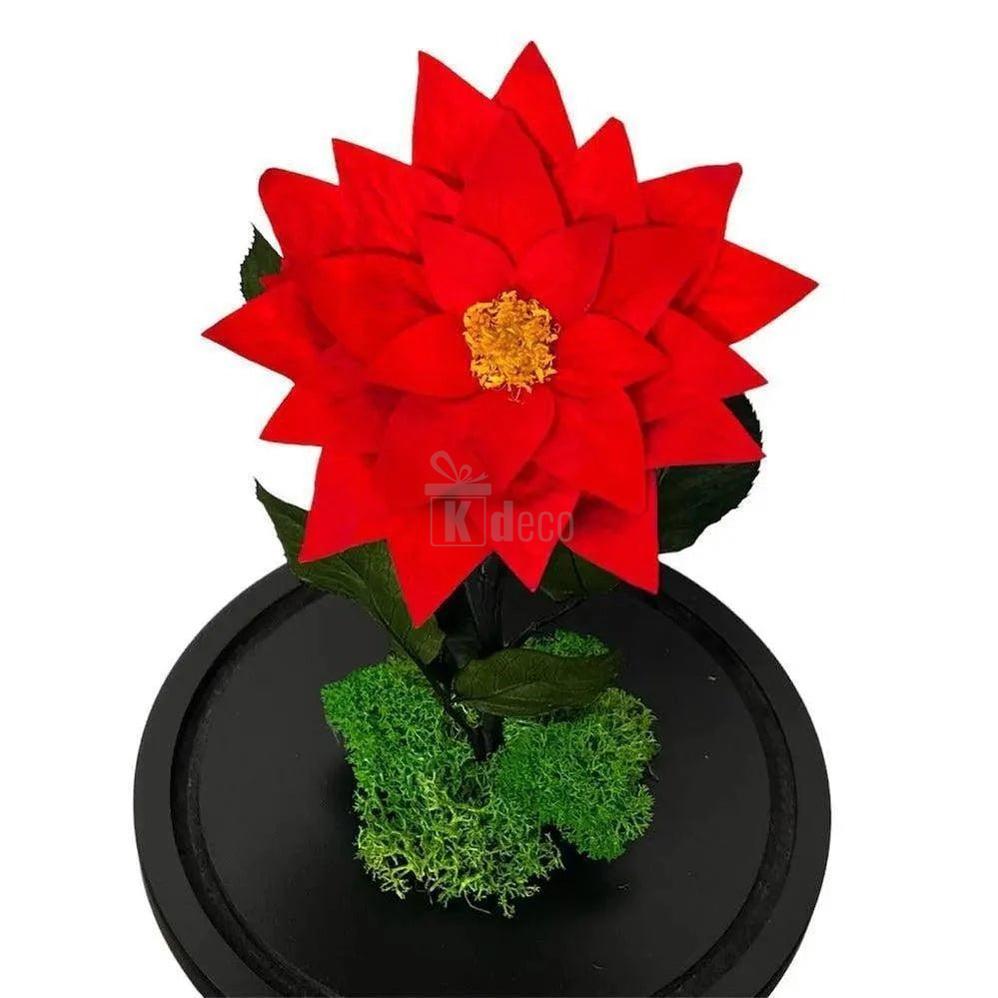 Craciunita Criogenata Rosie in Cupola Decorativa Ø10cm - Cadou Unic pentru Persoana Iubita - Kdeco.ro