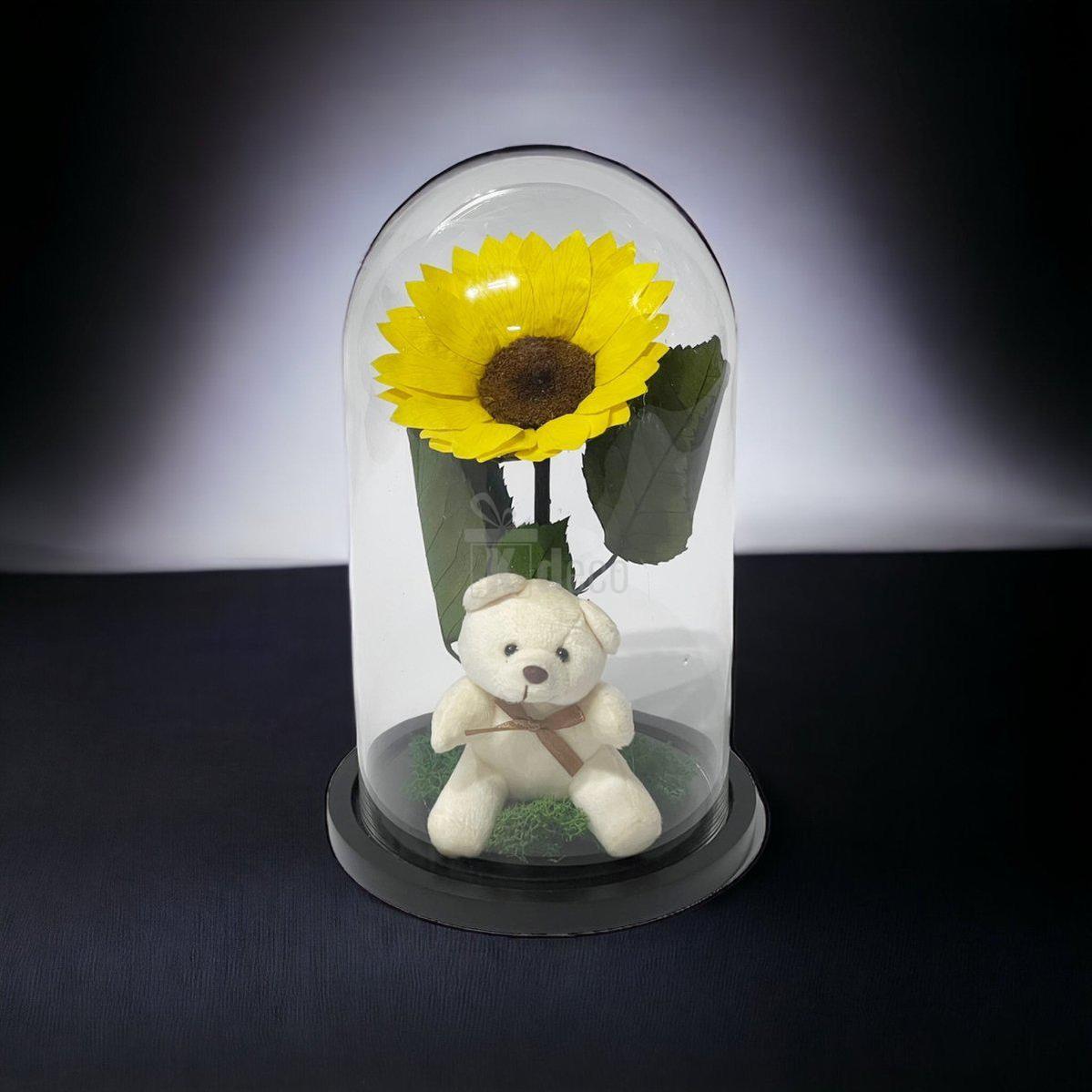 Floarea Soarelui Criogenata Ø10-12cm, cupola 15x25cm, cu ursulet-Kdeco.ro