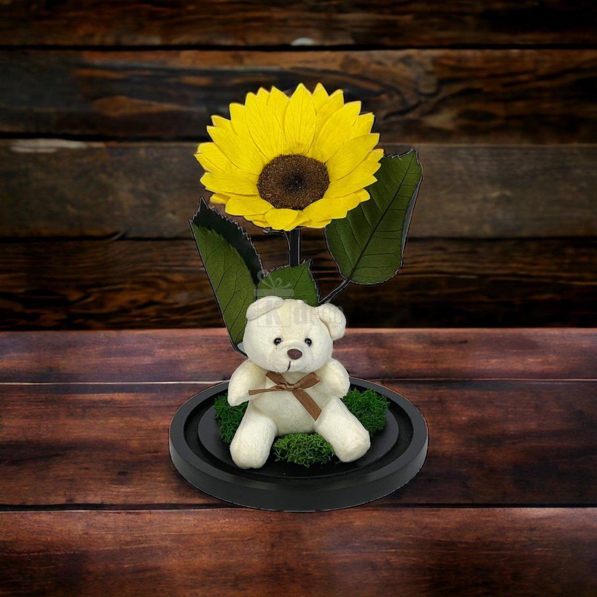 Floarea Soarelui Criogenata Ø10-12cm, cupola 15x25cm, cu ursulet-Kdeco.ro