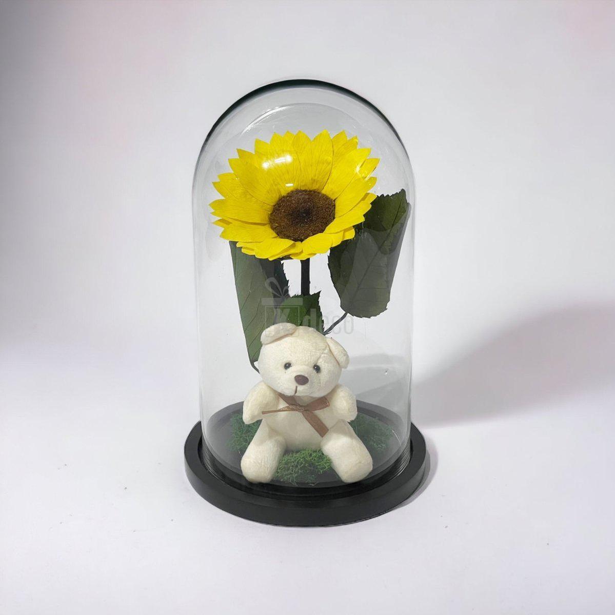 Floarea Soarelui Criogenata Ø10-12cm, cupola 15x25cm, cu ursulet-Kdeco.ro