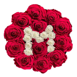 Cutie cu 11-13 Trandafiri Criogenati XL Ø6,5cm, cadou femei - Kdeco