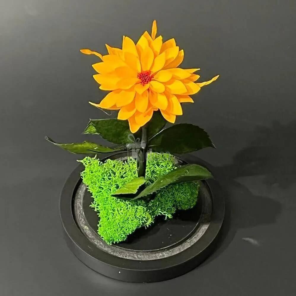 Dalia Criogenata Portocalie in Cupola de Sticla Ø8cm - 10x20cm, Cadou Elegant - Kdeco.ro