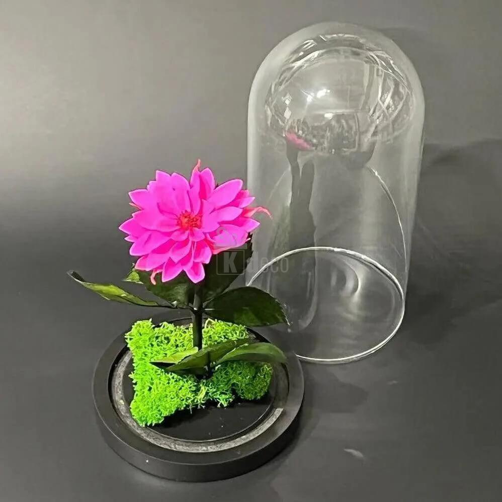 Dalie Criogenată Ciclam în Cupolă de Sticlă - Cadou Nemuritor Ø8cm, Dimensiune 10x20cm - Kdeco.ro