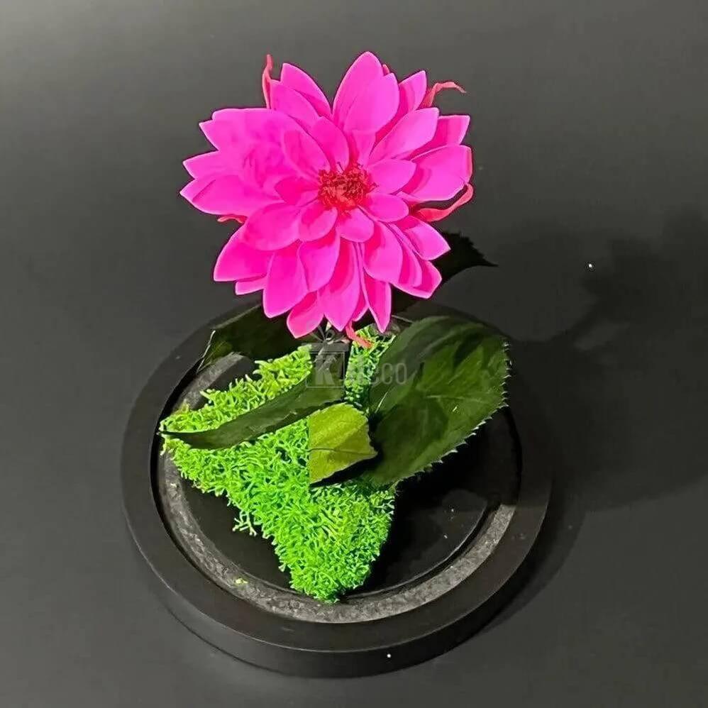 Dalie Criogenată Ciclam în Cupolă de Sticlă - Cadou Nemuritor Ø8cm, Dimensiune 10x20cm - Kdeco.ro