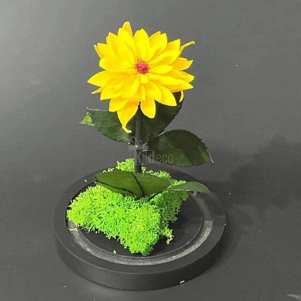 Dalie Criogenată Galbenă cu Cupolă de Sticlă - Cadou Nemuritor pentru Femei Ø8cm - Kdeco.ro