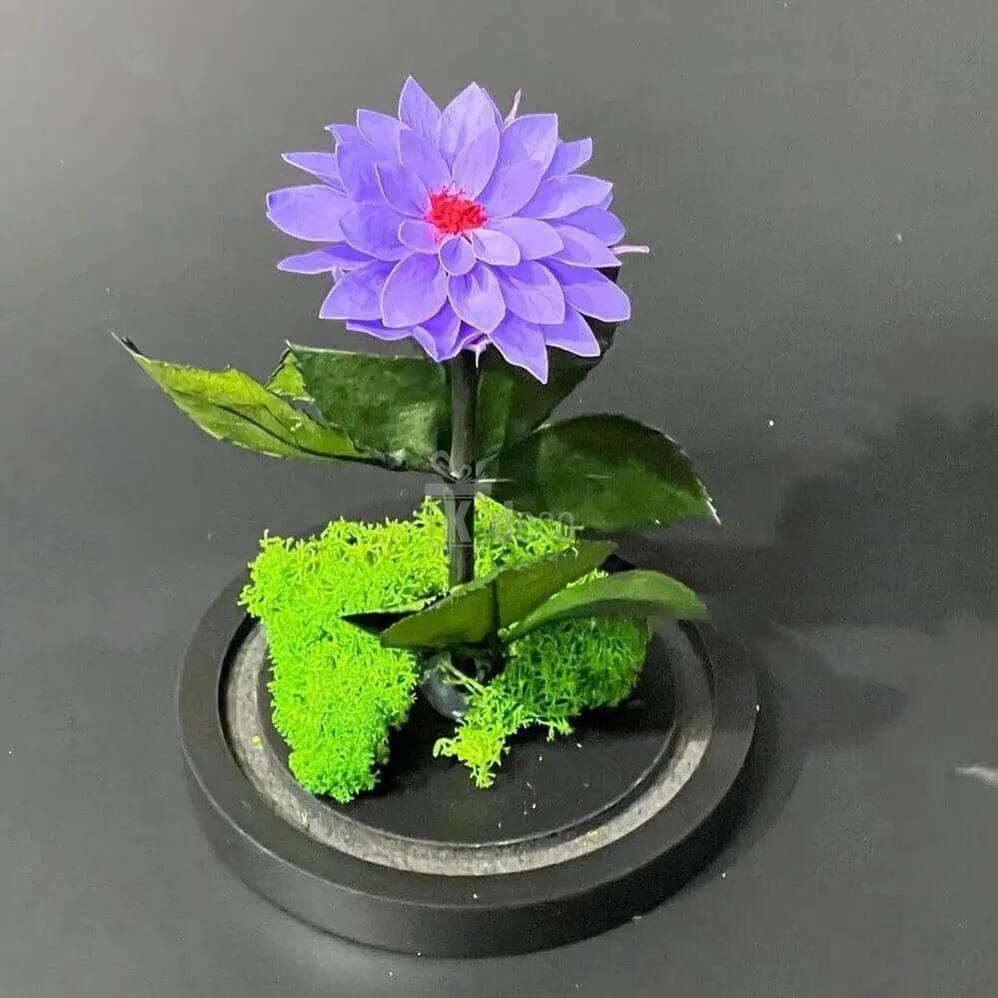 Dalie Criogenata mov în cupola de sticlă elegantă 10x20cm - Cadou Unic pentru Femei - Kdeco.ro