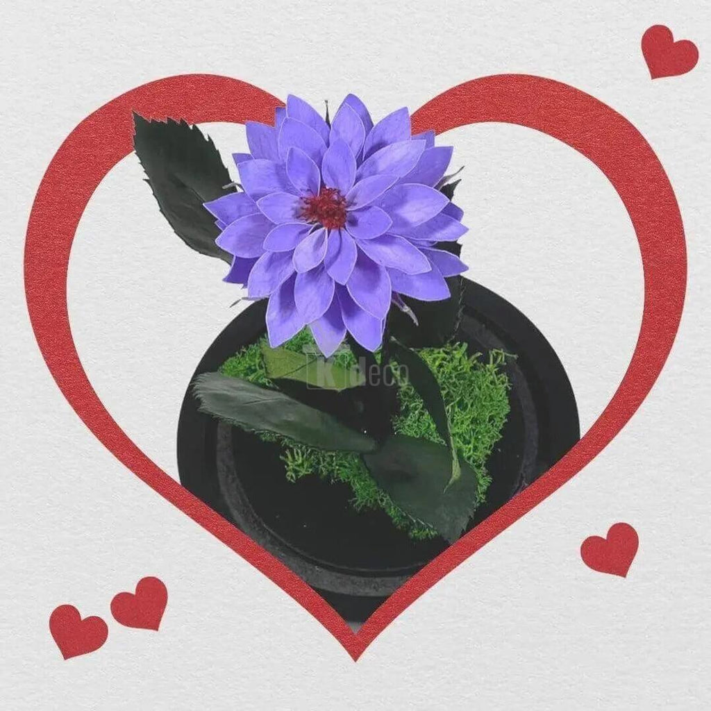 Dalie Criogenata mov în cupola de sticlă elegantă 10x20cm - Cadou Unic pentru Femei - Kdeco.ro