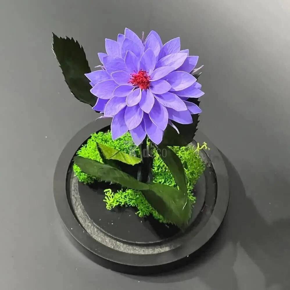 Dalie Criogenata mov în cupola de sticlă elegantă 10x20cm - Cadou Unic pentru Femei - Kdeco.ro