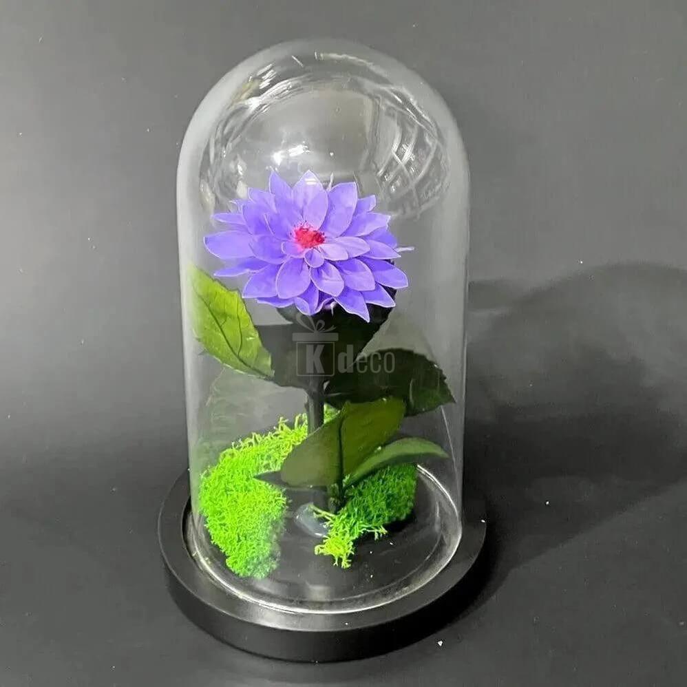 Dalie Criogenata mov în cupola de sticlă elegantă 10x20cm - Cadou Unic pentru Femei - Kdeco.ro