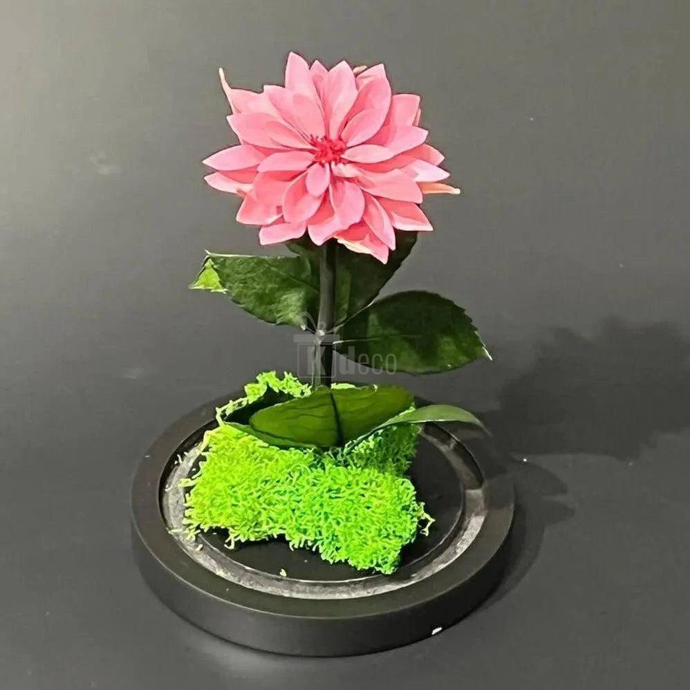 Dalie Criogenată Mov - Pudrat în Cupolă de Sticlă cu Mesaj Personalizat - Ø8cm, 10x20cm - Kdeco.ro