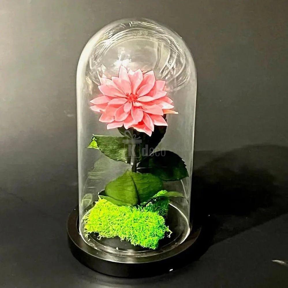 Dalie Criogenată Mov - Pudrat în Cupolă de Sticlă cu Mesaj Personalizat - Ø8cm, 10x20cm - Kdeco.ro