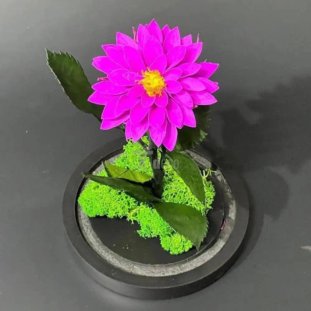 Dalie Criogenată Purpurie Ø8cm în Cupolă de Sticlă, Cadoul Ideal pentru Persoane Dragi - Kdeco.ro