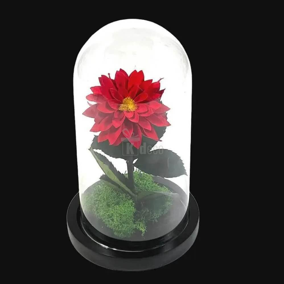 Dalie Criogenata Rosie in Cupola de Sticla – Cadou Etern pentru Femeia Speciala - Kdeco.ro