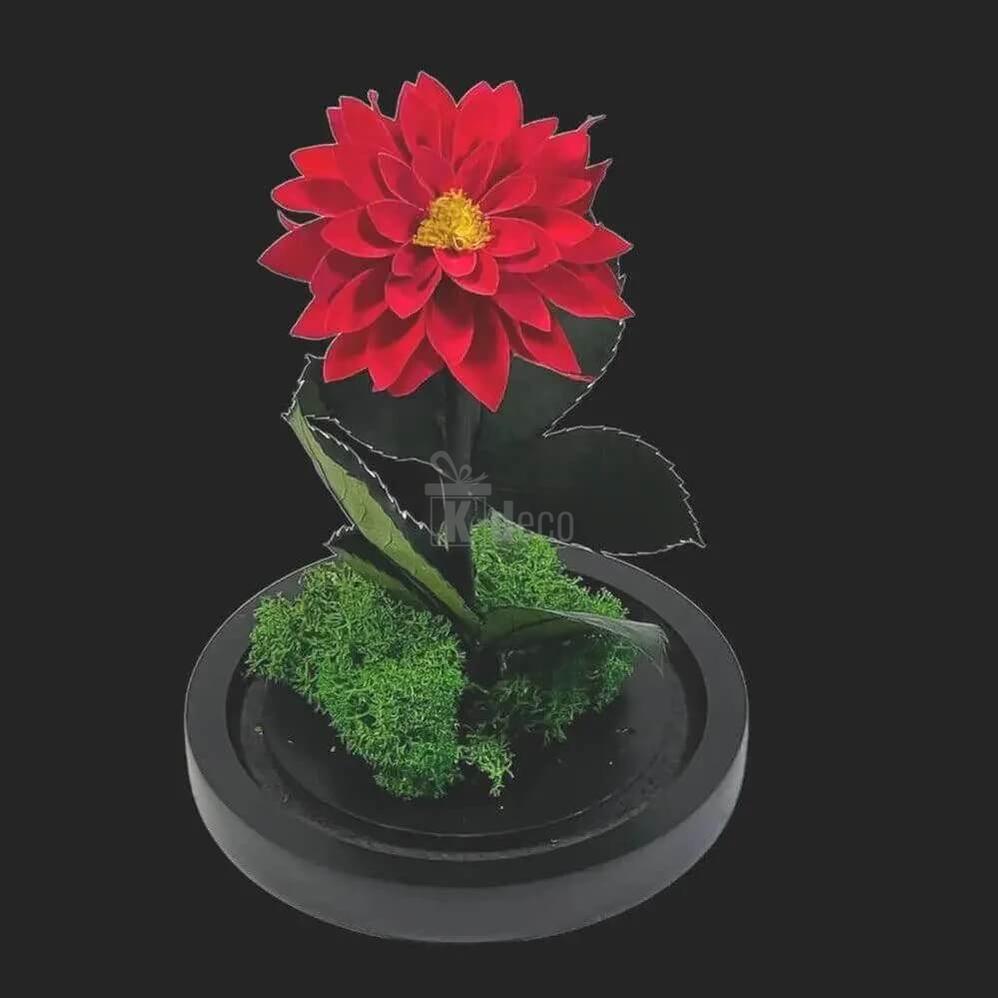 Dalie Criogenata Rosie in Cupola de Sticla – Cadou Etern pentru Femeia Speciala - Kdeco.ro