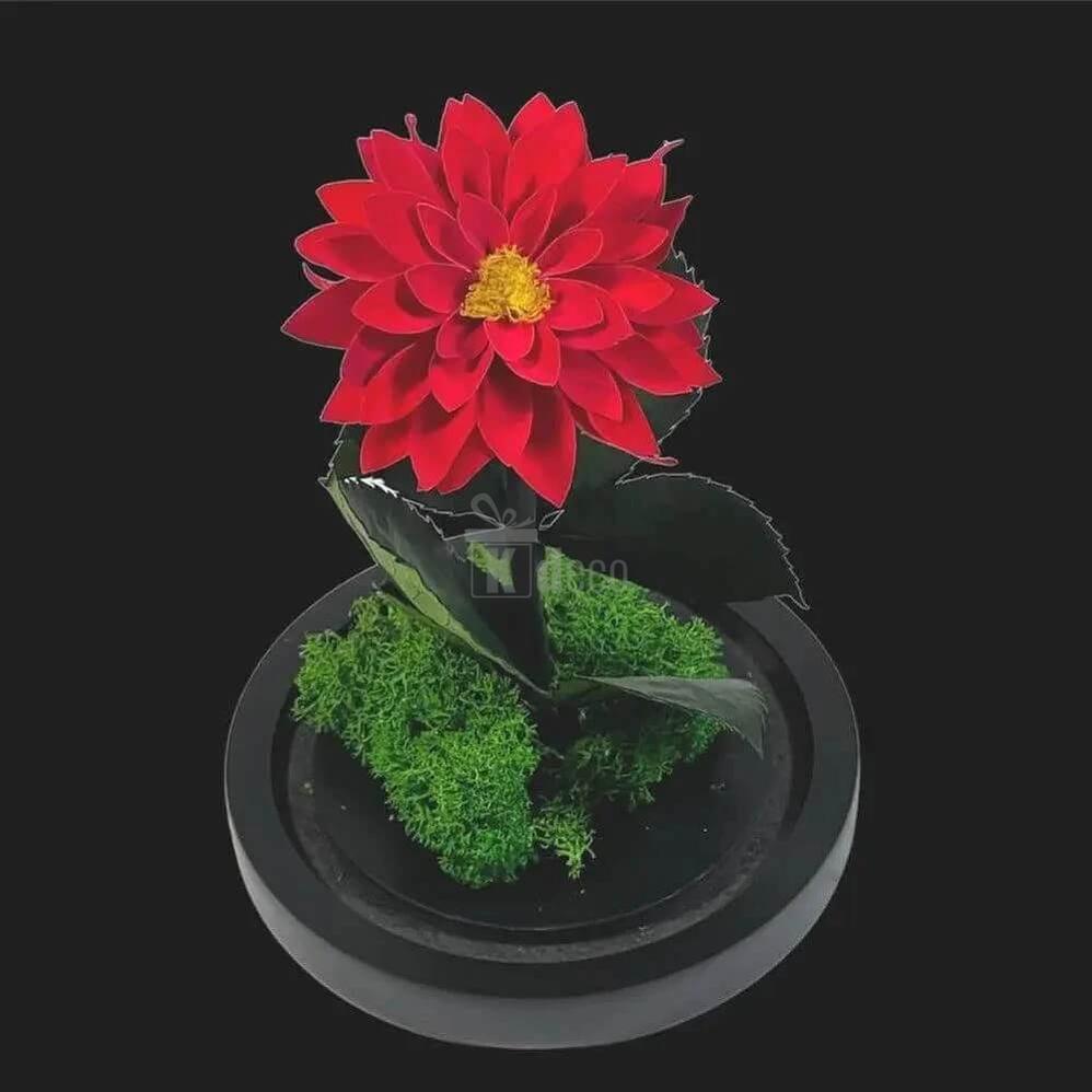 Dalie Criogenata Rosie in Cupola de Sticla – Cadou Etern pentru Femeia Speciala - Kdeco.ro