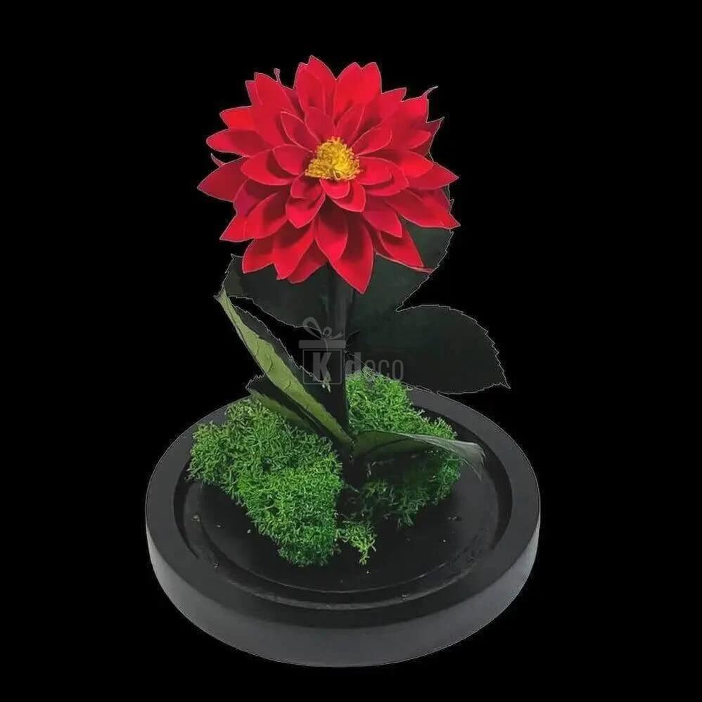 Dalie Criogenata Rosie in Cupola de Sticla – Cadou Etern pentru Femeia Speciala - Kdeco.ro