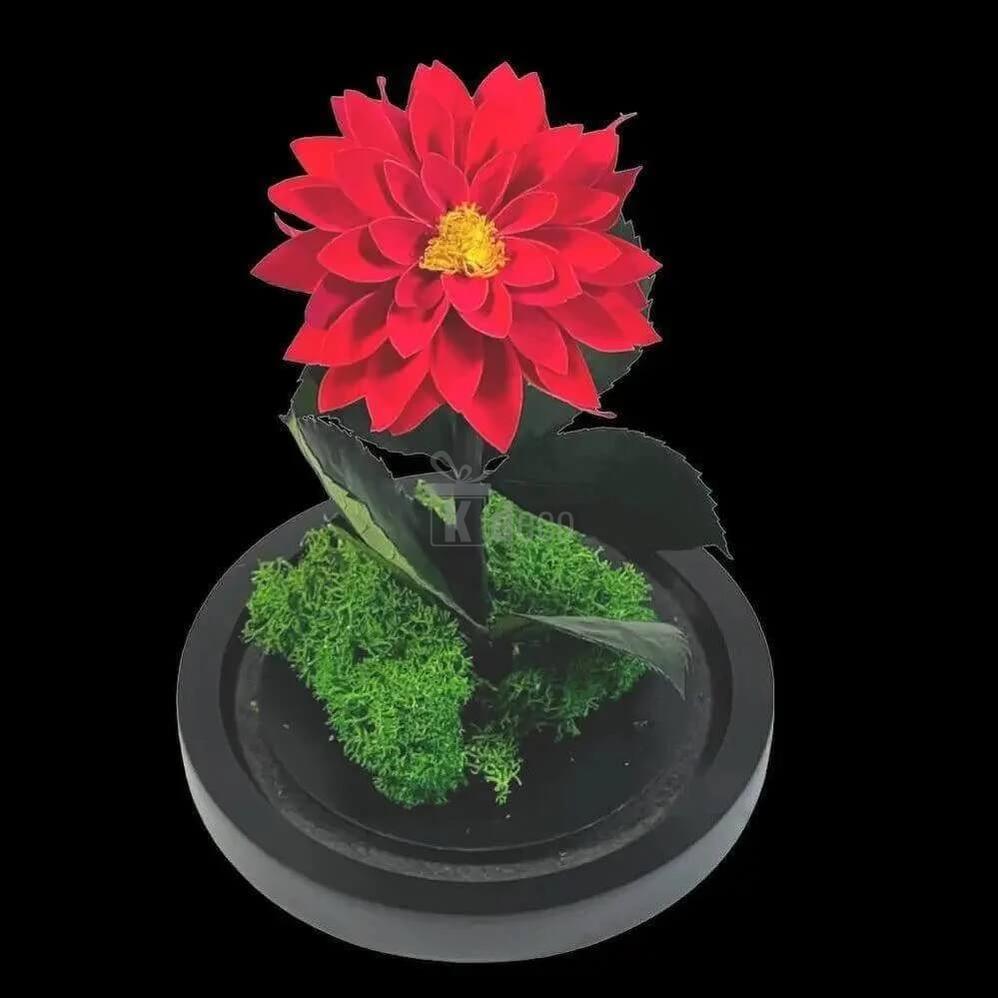 Dalie Criogenata Rosie in Cupola de Sticla – Cadou Etern pentru Femeia Speciala - Kdeco.ro