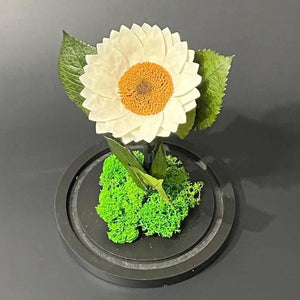 Floarea Soarelui Criogenata alba Ø12cm in cupola de sticla - Kdeco