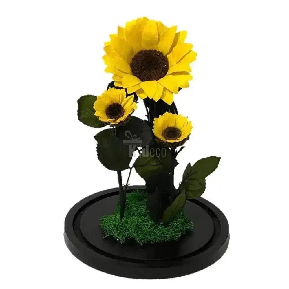 Floarea Soarelui Criogenată cu Două Floricele Adiționale în Cupolă de Sticlă - Kdeco.ro