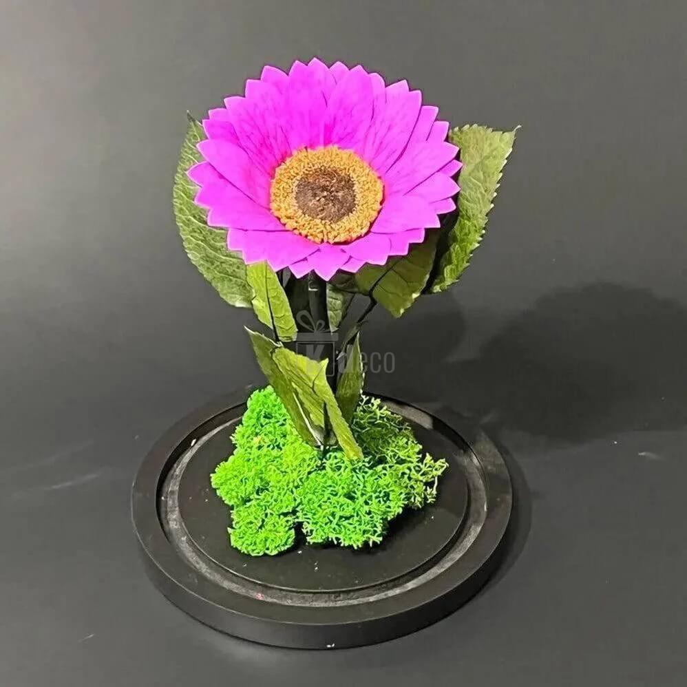 Floarea Soarelui Criogenata Mov în Cupolă de Sticlă Ø12cm - Cadoul Ideal pentru Femei - Kdeco.ro