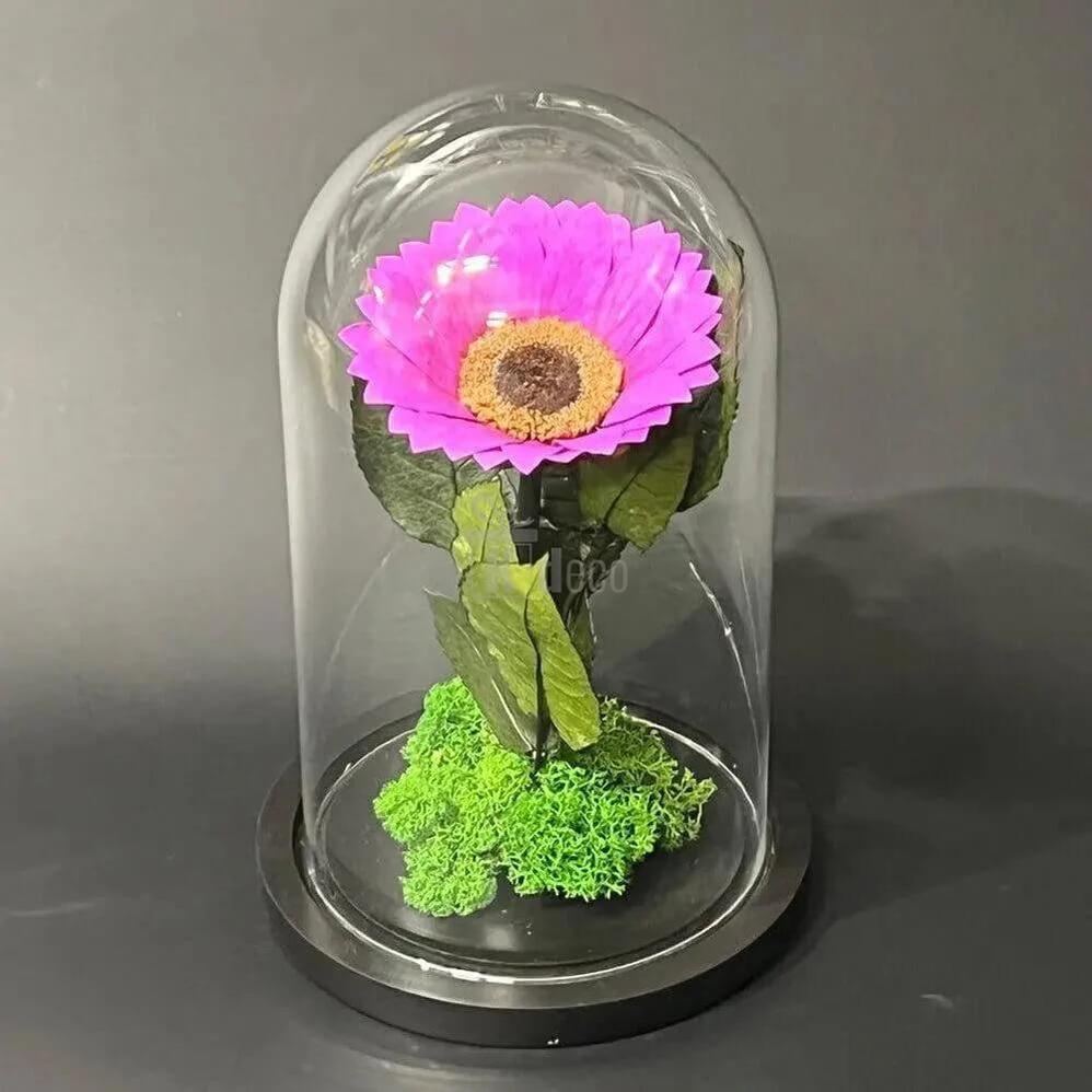 Floarea Soarelui Criogenata Mov în Cupolă de Sticlă Ø12cm - Cadoul Ideal pentru Femei - Kdeco.ro