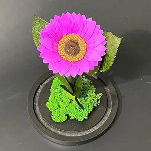 Floarea Soarelui Criogenata mov Ø12cm in cupola sticla - Kdeco