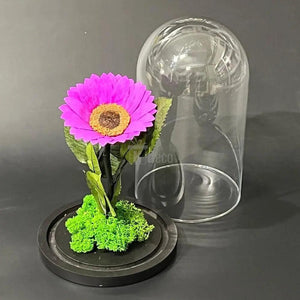 Floarea Soarelui Criogenata mov Ø12cm in cupola sticla - Kdeco