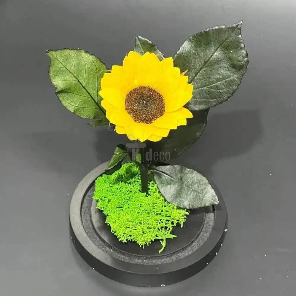 Floarea Soarelui Criogenata Ø6cm in cupola de sticla cu mesaj personalizat - Kdeco.ro