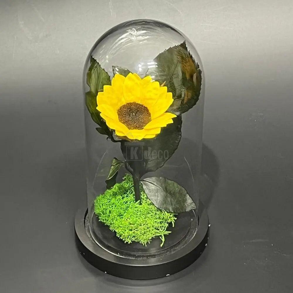Floarea Soarelui Criogenata Ø6cm in cupola de sticla, cu mesaj - Kdeco