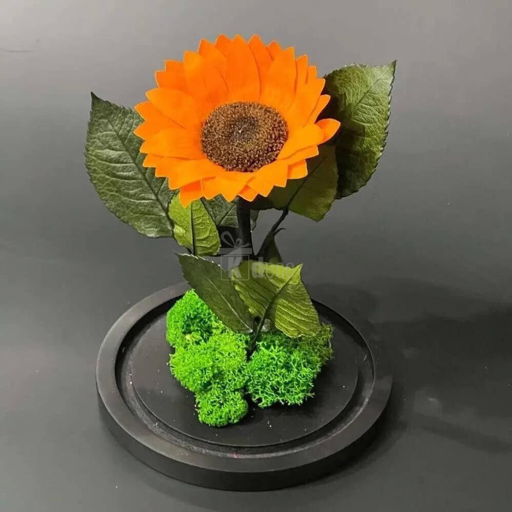 Floarea Soarelui Criogenata Portocalie în Cupola de Sticlă Ø12cm - Cadou Elegant pentru Femei - Kdeco.ro