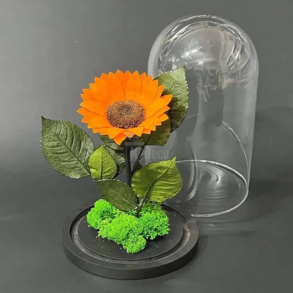 Floarea Soarelui Criogenata Portocalie în Cupola de Sticlă Ø12cm - Cadou Elegant pentru Femei - Kdeco.ro