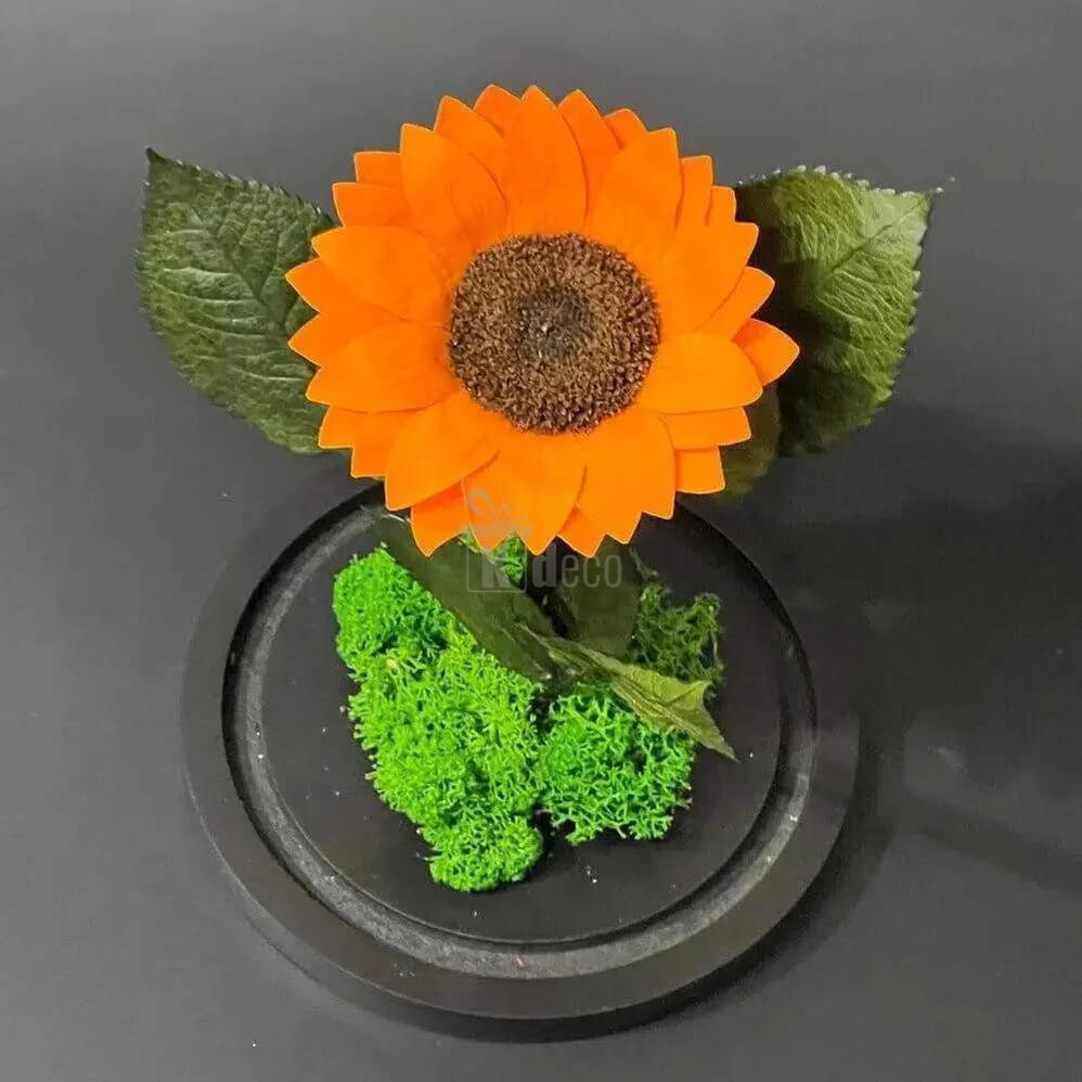 Floarea Soarelui Criogenata Portocalie în Cupola de Sticlă Ø12cm - Cadou Elegant pentru Femei - Kdeco.ro