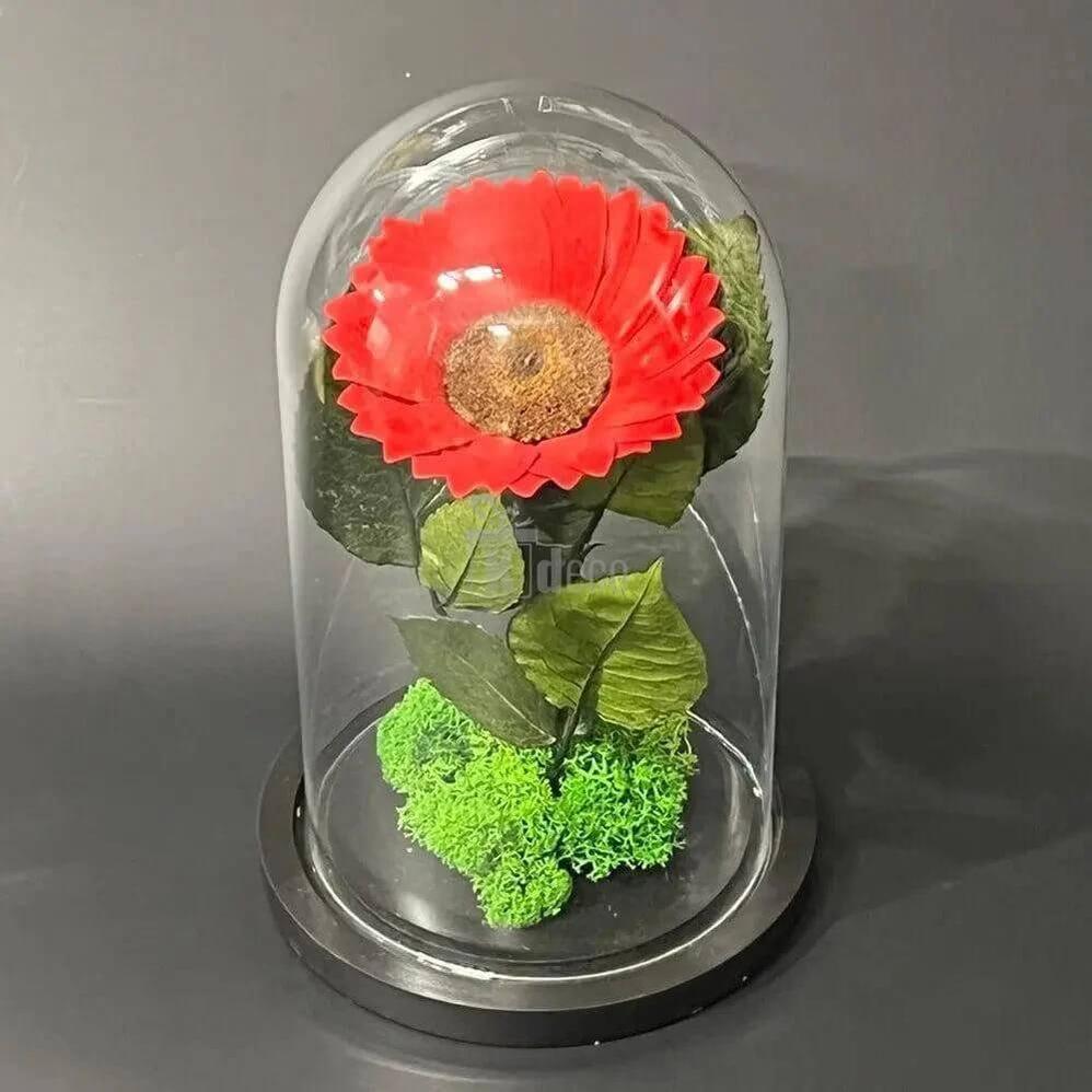Floarea Soarelui Criogenată Roșie cu Cupolă de Sticlă Ø12cm – Cadoul Perfect pentru Persoana Dragă! - Kdeco.ro