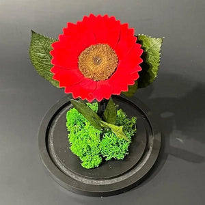 Floarea Soarelui Criogenata rosie Ø12cm in cupola sticla - Kdeco