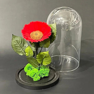 Floarea Soarelui Criogenata rosie Ø12cm in cupola sticla - Kdeco