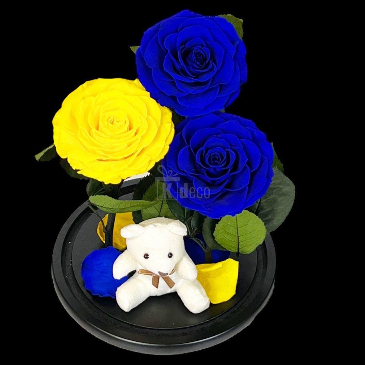 3 Trandafiri Criogenati mari (2 albastrii si 1 galben) in cupola sticla cu ursulet-Kdeco.ro