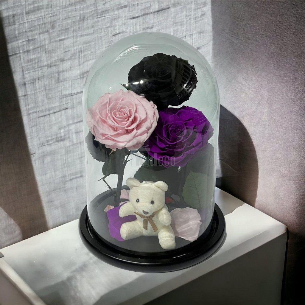 3 Trandafiri Criogenati mari (negru, roz, purpuriu) in cupola de sticla-Kdeco.ro